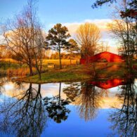 Healthy Haven