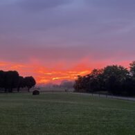 Rise and shine
