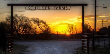 Scurlock Farms, Georgetown, TX | FarmStay USA