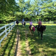 The horse experience begins in the riding area when riders and horses get acquainted and figure out how to work together.