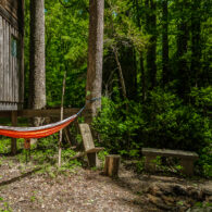 Treehouse hammock area