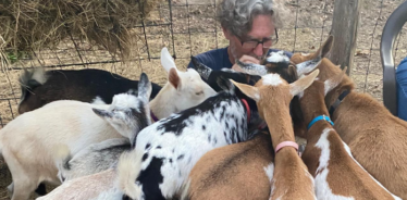 a man with a bunch of goats on top of thim
