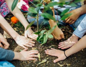 people's hands on the bare ground beneath a plant