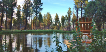 lake with trees and a deck