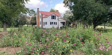 a flower garden with a white 2 story house in the background