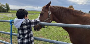 a boy petting a horse behind a fence