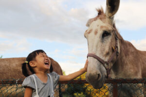 little girl petting a donkey laughing