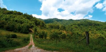 a country road going up to green rolling hills and mountains
