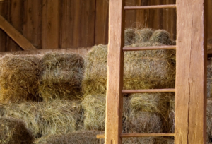 a hayloft with a wooden ladder
