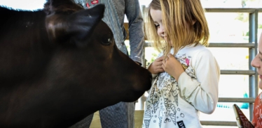 little girls with cow