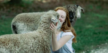 a woman petting sheep