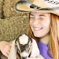 Getting a lick - that's what baby goats do.