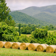 Hay bales in the fields - winter feed for our own cattle, horses and to help out our neighbors.