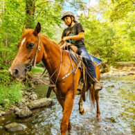 Trail riding and western style lessons at the Stables.