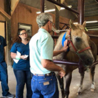 Vet Clinic Tours