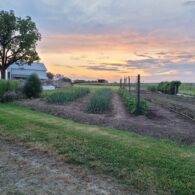 Verdant View Farm Garden