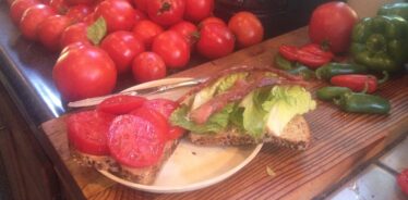 BLT sandwich with tomatoes on counter