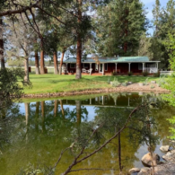 The Cottage on the pond