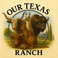 Welcome to Our Texas Ranch, where you're one of the herd!