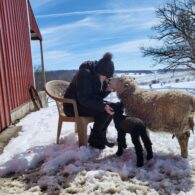 Our fire pit is a great spot to gather with your loved ones, counting shooting stars or watching the Northern Lights, which have been frequent lately!