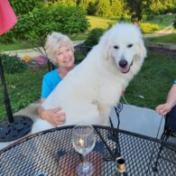 Our fire pit is a great spot to gather with your loved ones, counting shooting stars or watching the Northern Lights, which have been frequent lately!