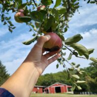 Our fire pit is a great spot to gather with your loved ones, counting shooting stars or watching the Northern Lights, which have been frequent lately!