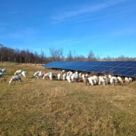 Your home away from home.