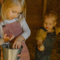 Hands on learning for ALL ages! Come gather eggs and learn about the life cycle of a chicken.